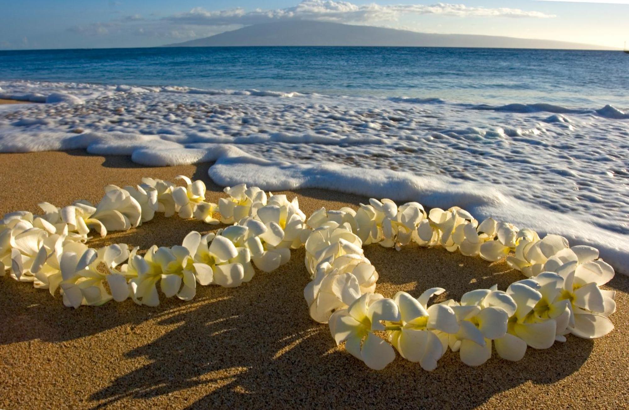 Great Ocean View Condo, Near Beach With Free Parking! Honolulu Exterior photo